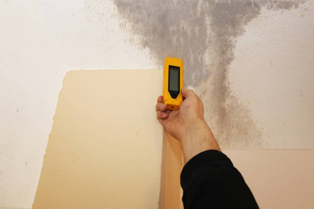 Best Mold Removal for HVAC Installations  in Upper Grand Lagoon, FL