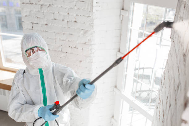 Best Mold Remediation for Healthcare Facilities  in Upper Grand Lagoon, FL