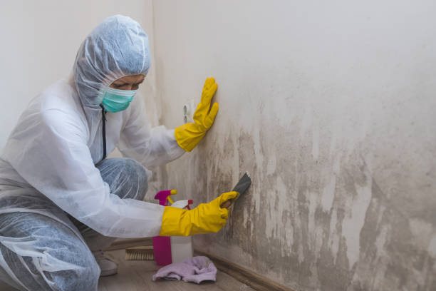 Best Industrial Mold Remediation  in Upper Grand Lagoon, FL