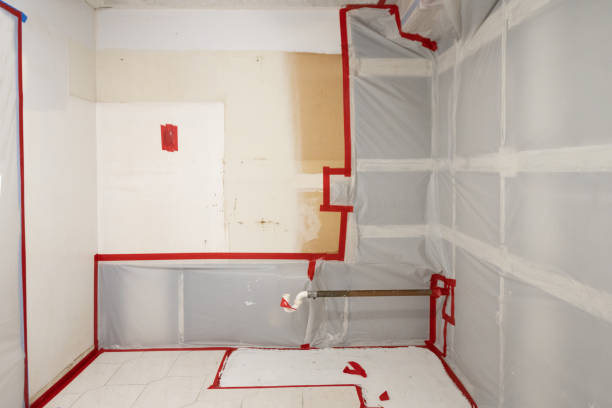 Best Mold Documentation for Insurance Claims  in Upper Grand Lagoon, FL