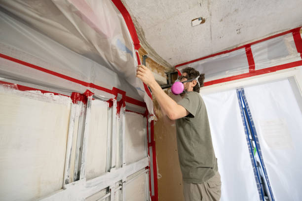 Best Residential Mold Inspection & Testing  in Upper Grand Lagoon, FL