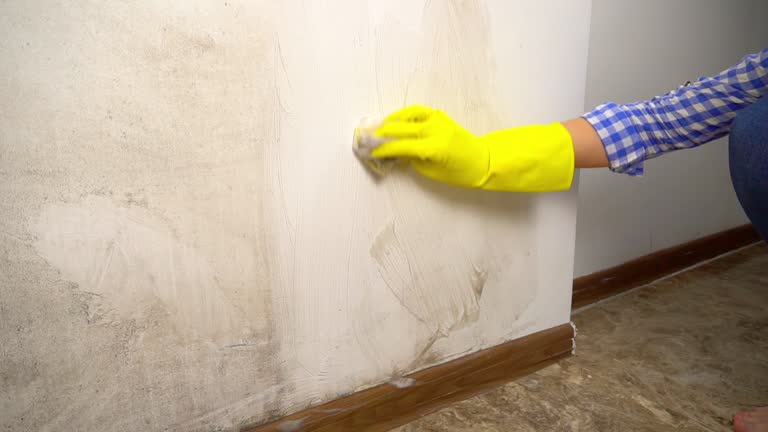 Best Mold-Related Health Consultation  in Upper Grand Lagoon, FL