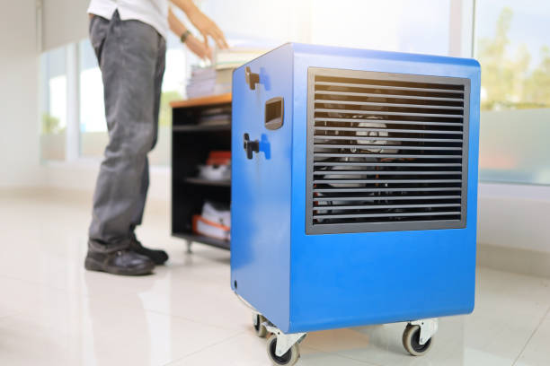 Best Mold Prevention Services  in Upper Grand Lagoon, FL