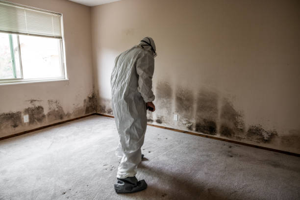 Best Airborne Mold Testing  in Upper Grand Lagoon, FL