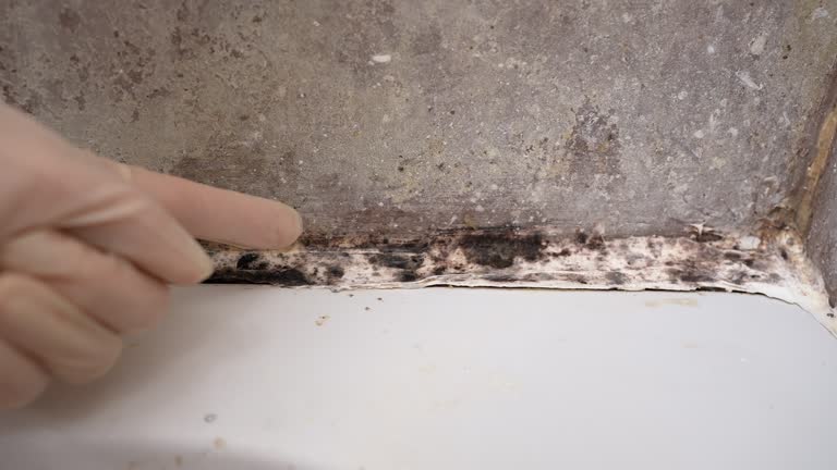 Best Real Estate Mold Inspection  in Upper Grand Lagoon, FL
